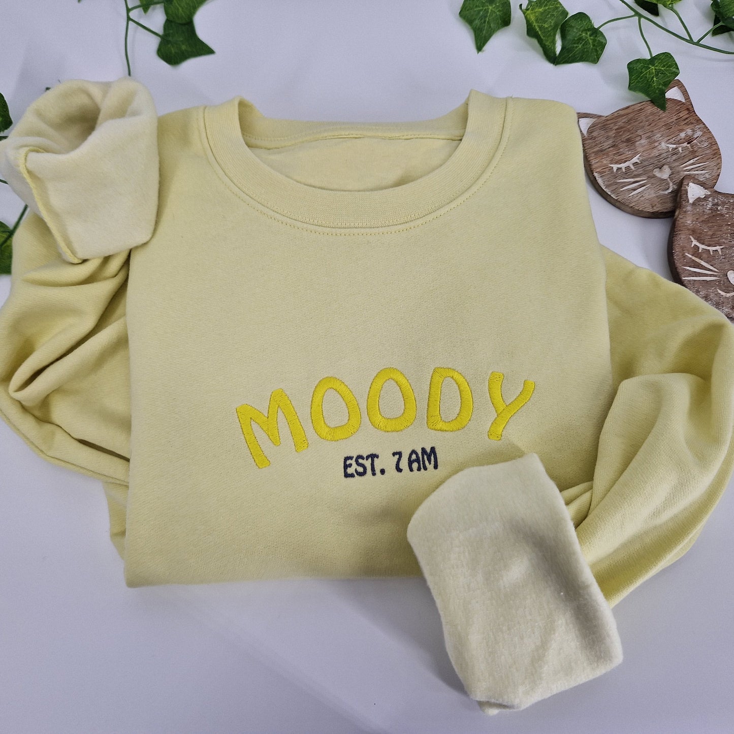 Moody Embroidered Hoodie