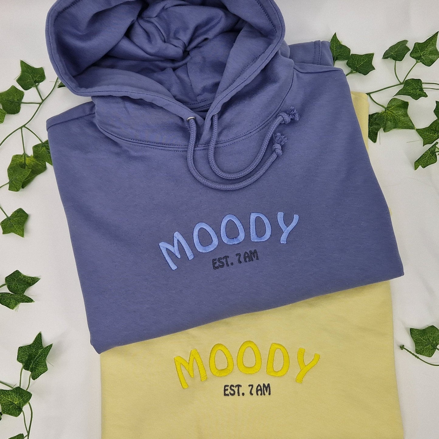 Moody Embroidered Hoodie